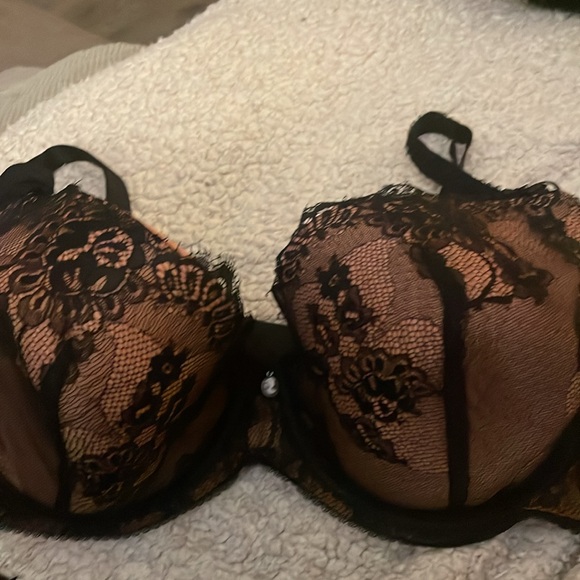 💖 Dita Von Teese Savoir Faire Lace NWT Bra And Panty Set Panty is size 18 US - Picture 4 of 4